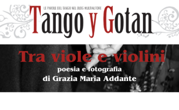 Tra viole e violini